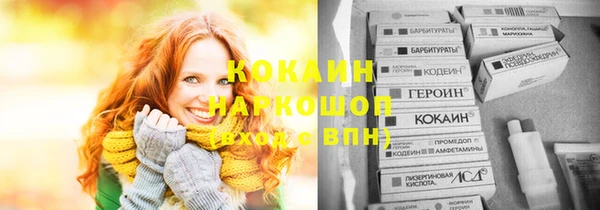 шишки Няндома