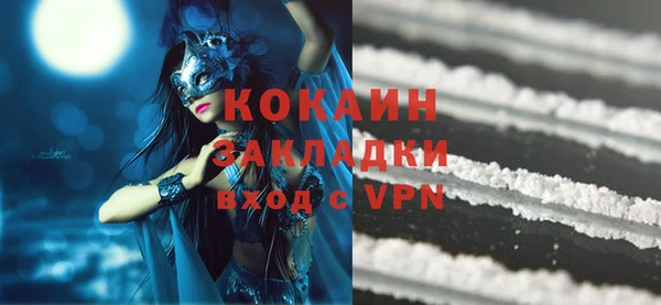 шишки Няндома