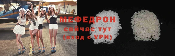шишки Няндома