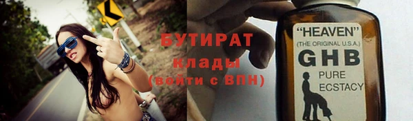 шишки Няндома