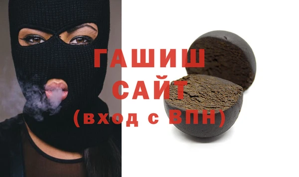шишки Няндома