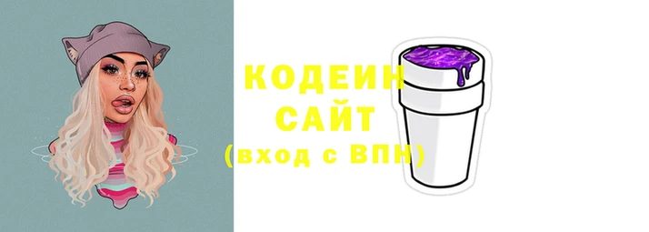 шишки Няндома