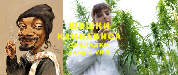 шишки Няндома