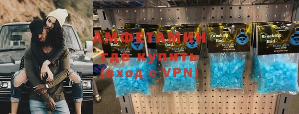 шишки Няндома