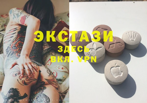 шишки Няндома