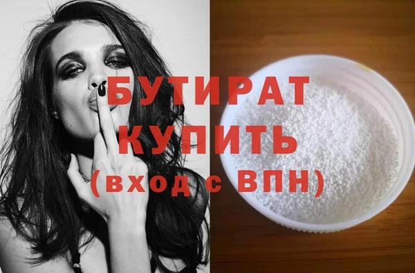 шишки Няндома