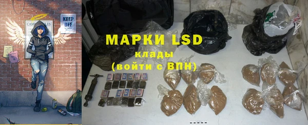 гашик Осташков