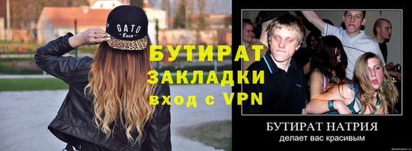 шишки Няндома