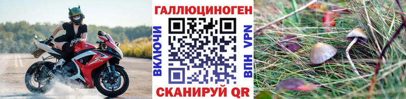 Псилоцибиновые грибы GOLDEN TEACHER даркнет сайт Ковылкино